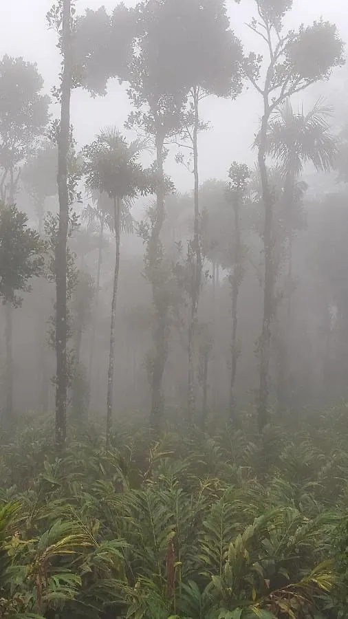 Tree Blanche Otel Munnar