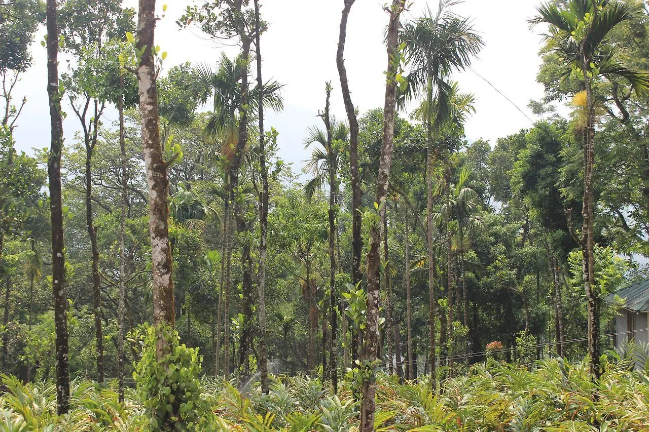 Tree Blanche Otel Munnar